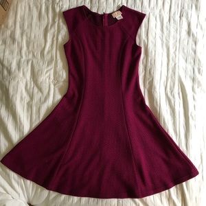Love Ady purple dress size small